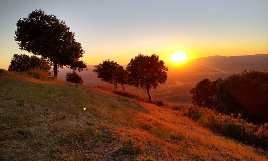 Image 22: NUEVO:Sunset Hike & Summit Sierra Nevada - Tour privado con cachorro