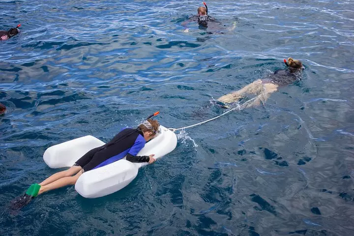 Four Winds Molokini Snorkeling Tour from Maalaea Harbor