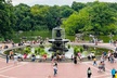 Central Park Pedicab Guided Tours - Second Medium