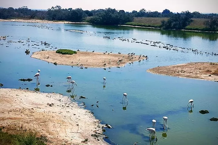 Alquiler de bicicleta de trekking: día completo las 24 horas