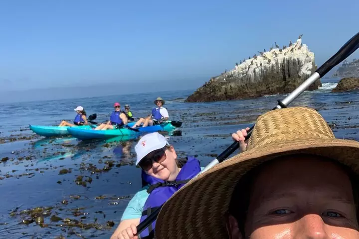 Laguna Beach Open Ocean Kayaking Tour with Sea Lion Sightings