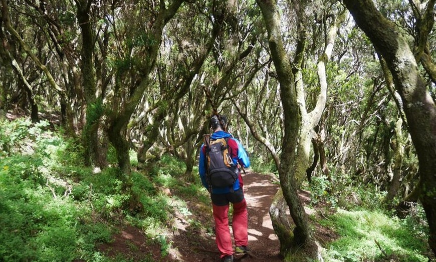 Image 10: Senderismo en el cañón de Cuevas Negras en Tenerife
