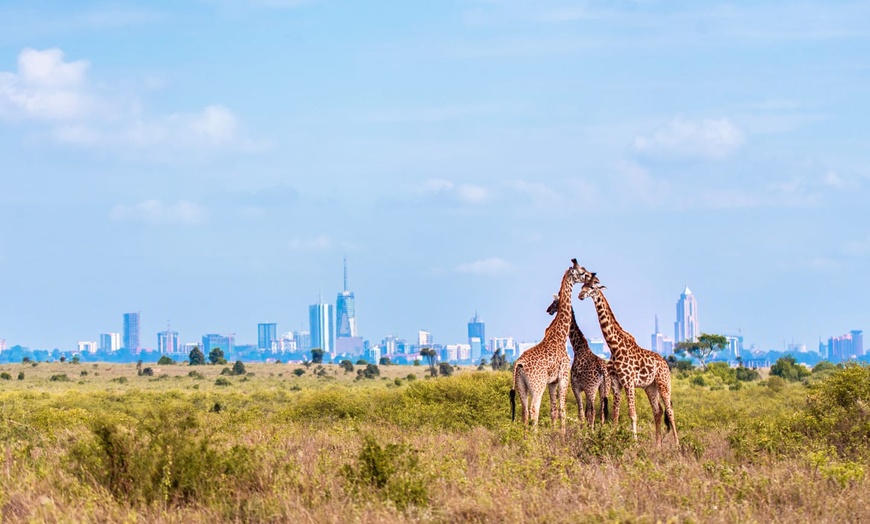 Image 10: ✈ KENYA | Nairobi to Mombasa - The essentials of Kenya on safari & ...