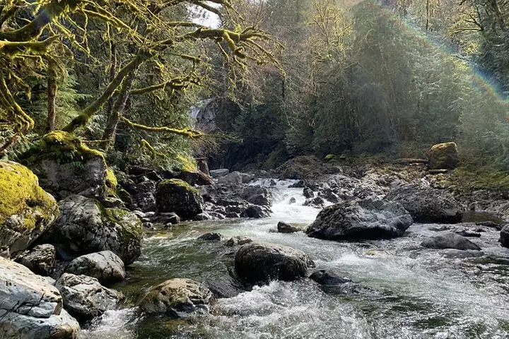 Guided forest hike to Seattle waterfalls incl. Snoqualmie Falls