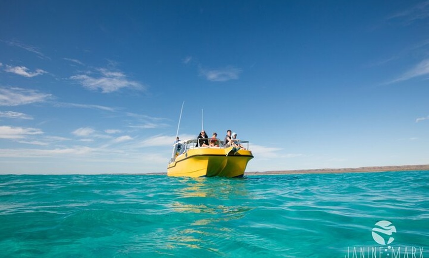 Image 13: Ningaloo Reef Snorkel and Wildlife Adventure