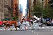 VIP Horse Carriage Ride through Central Park (Up to 4 Adults) - Second Medium