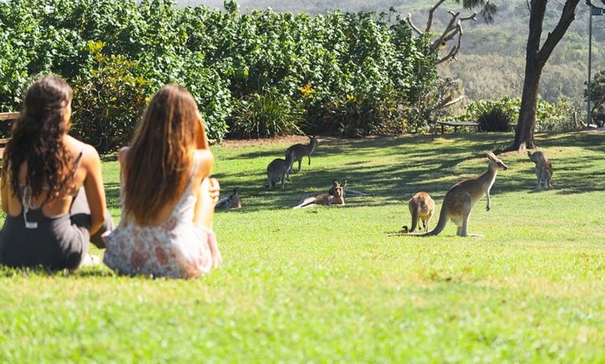 Image 7: North Stradbroke Island Day Tour from Brisbane – Small Group