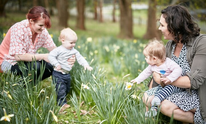 Image 3: Picnic and Farm Experience at Red Hill