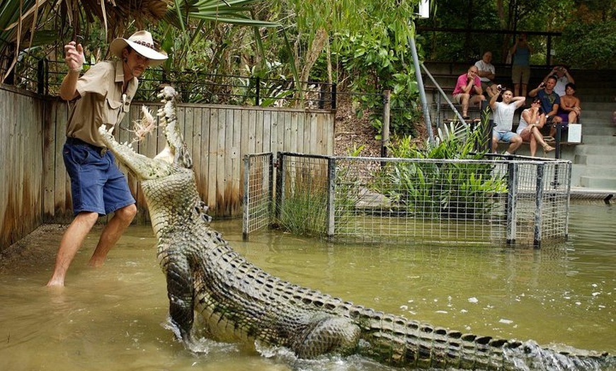 Image 3: Hartley's Crocodile Adventure Half-Day Tour