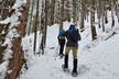 Snowshoeing at Crystal Mountain by Mount Rainier - Second Medium