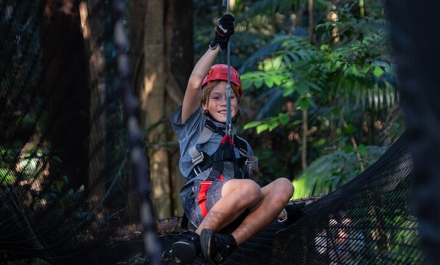 Image 15: Sunshine Coast Adventure Park TreeTop Challenge