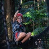 Image 15: Sunshine Coast Adventure Park TreeTop Challenge