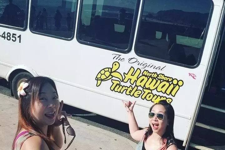 Oahu Circle Island: Snorkel with Turtles & Explore Turtle Beach