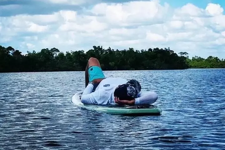 Easy Ride Pedal Kayak Tour Marco Island & Naples (Pedal or Paddle