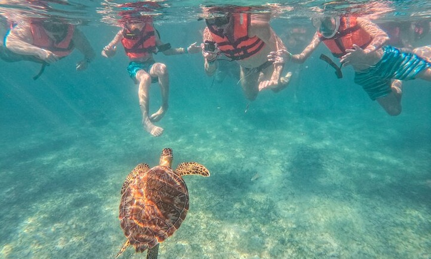 Image 25: Tulum Ruins, Sea Turtles & Cenote Swim Adventure Tour
