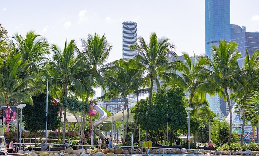 Image 7: Brisbane Private Shore Excursions with Lone Pine Koala Sanctuary