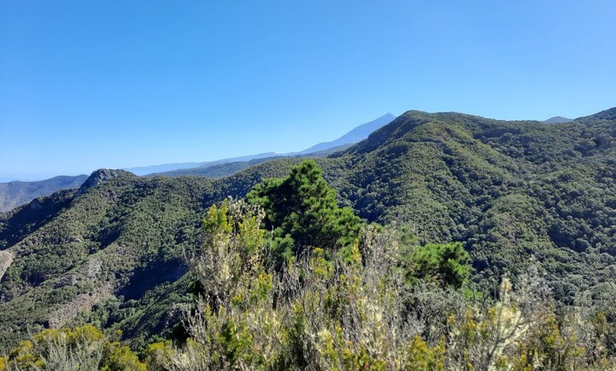 Image 3: Senderismo en el cañón de Cuevas Negras en Tenerife