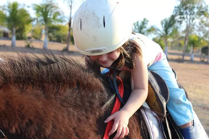 Kissimmee 1-Hour Horseback Riding Experience - Primary Image