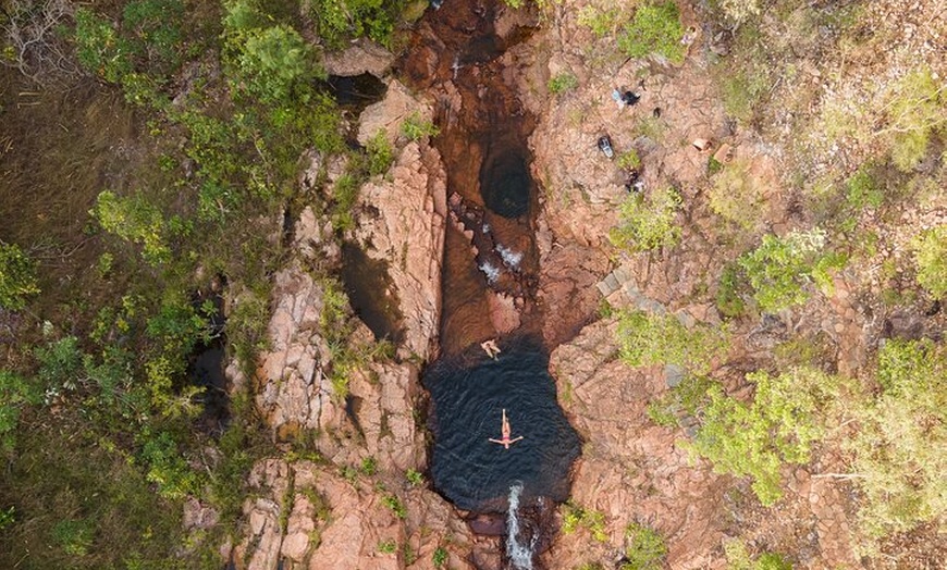 Image 13: Litchfield National Park Tour with Wetlands or Crocodile Cruise