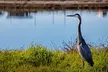 Hike and Bike through Orange County - Second Medium