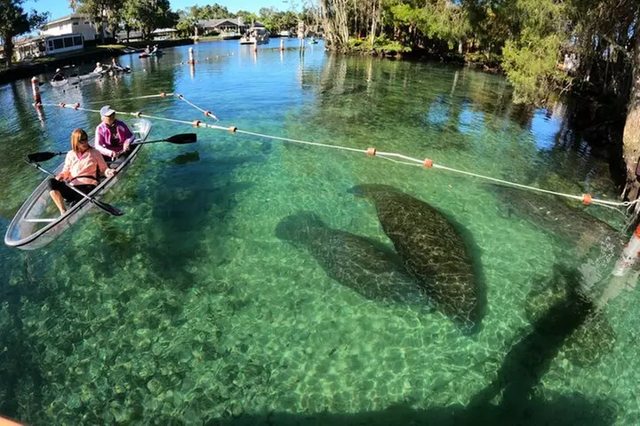 Clear Kayak Manatee Ecotour of Crystal River