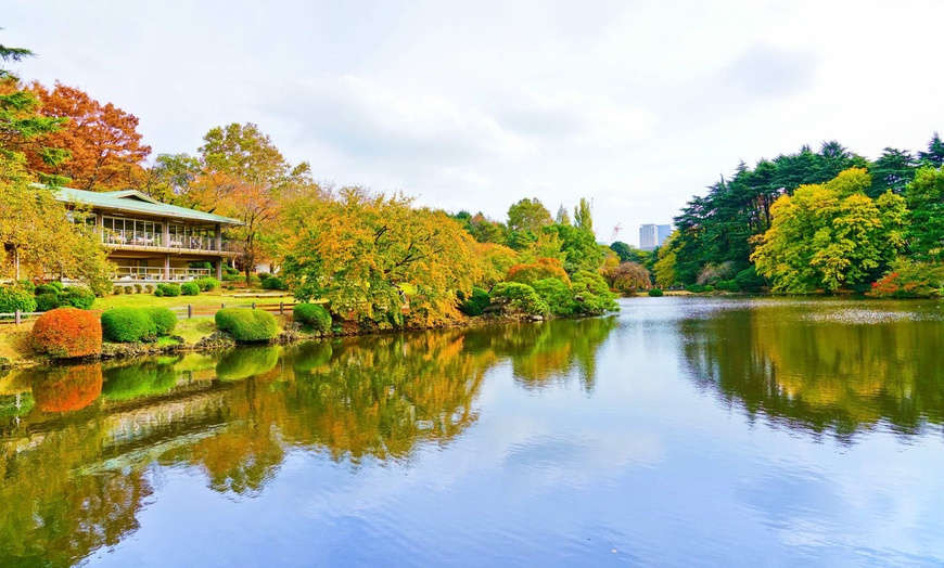 Image 3: ✈ JAPON | De Tokyo à Osaka - Essentiel du Japon 3* - Circuit