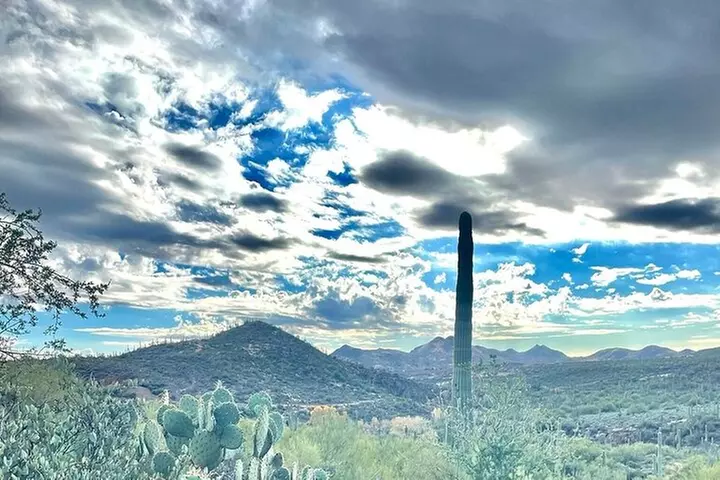 3 Hour Sonoran Desert Private Guided Mountain Bike Tour