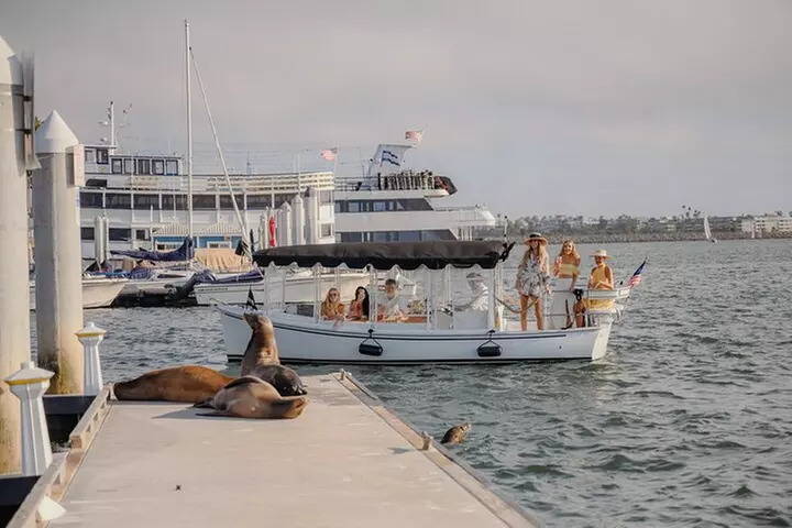 Luxury Shared E-Boat Cruise with Wine, Charcuterie & Sea Lions Spot...