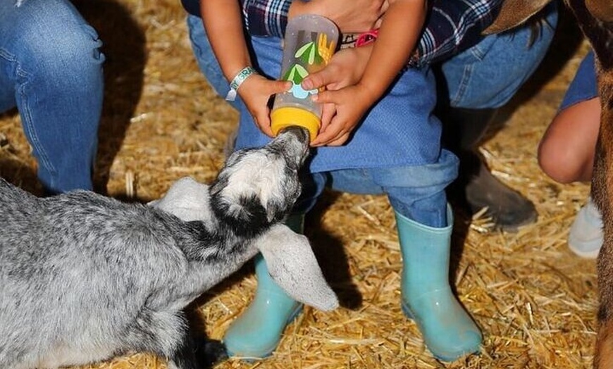 Image 4: Granjera o Granjero por un Día con Degustación