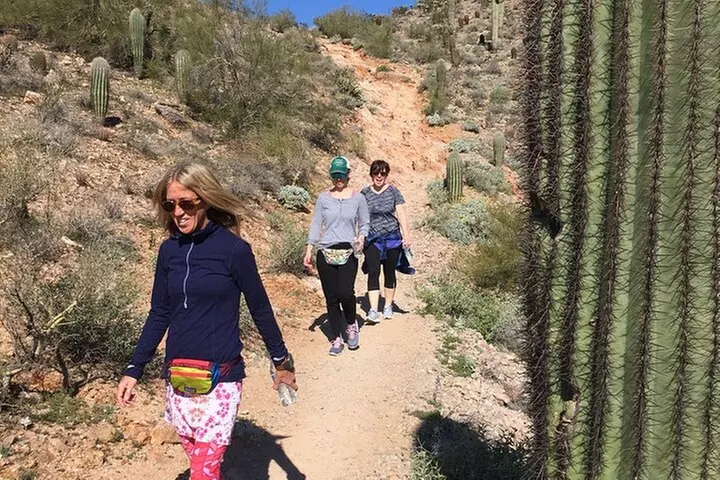 Amazing 2-Hour Guided Hiking Adventure in Phoenix, Arizona