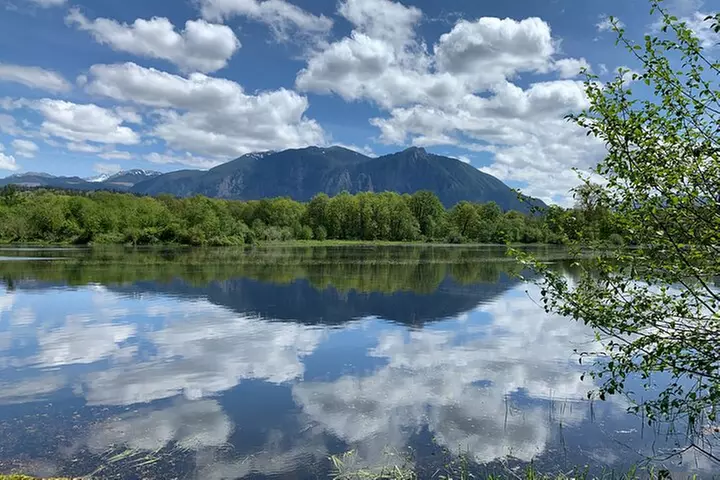 Guided forest hike to Seattle waterfalls incl. Snoqualmie Falls