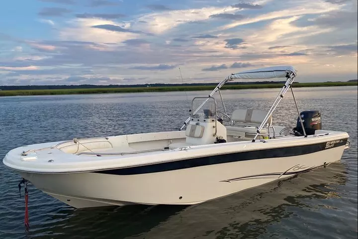 90-Minute Private Dolphin Tour in Hilton Head Island