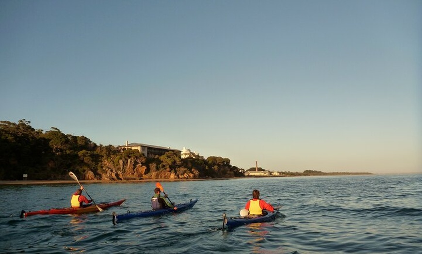 Image 10: Mornington Peninsula Kayak Coastline Tour of Dolphin Sanctuary