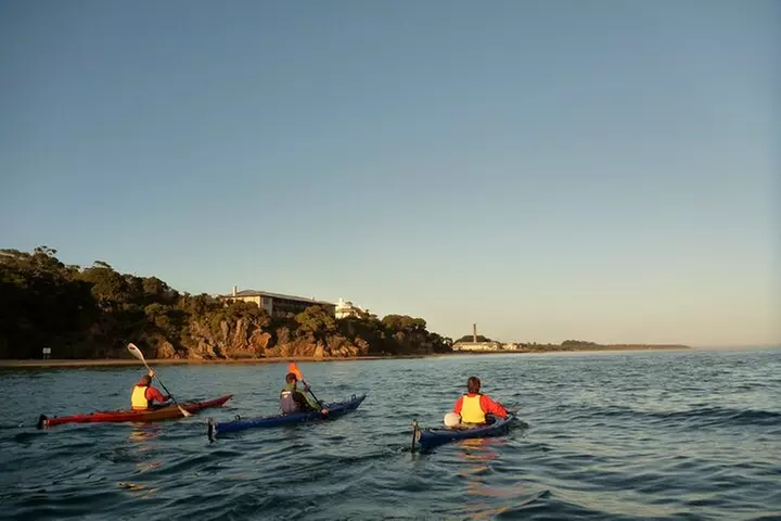 Mornington Peninsula Kayak Coastline Tour of Dolphin Sanctuary