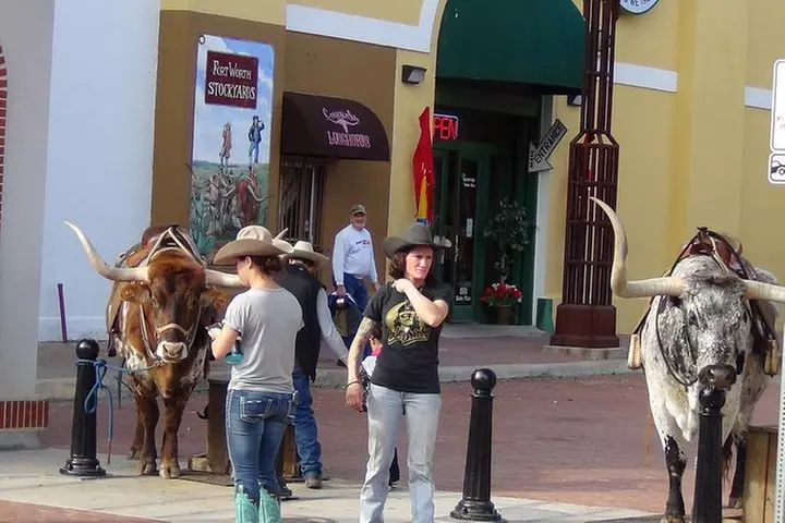 Dallas and Fort Worth City Sightseeing Tour Small-Group
