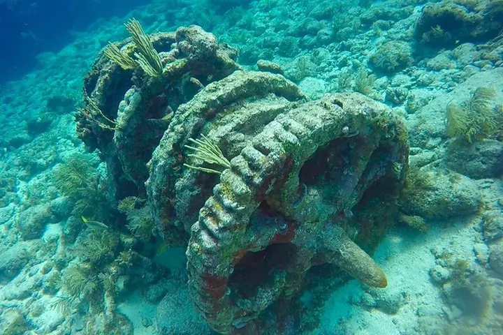 Half Day Scuba Diving Trip in the Florida Keys - Primary Image