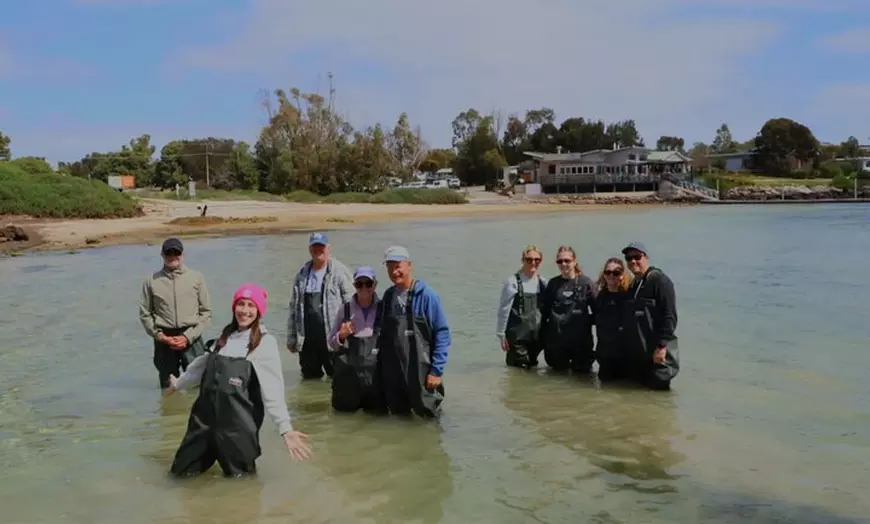 Image 6: Coffin Bay Oyster Farm Wading Tour & Tasting Experience