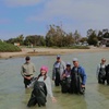 Image 6: Coffin Bay Oyster Farm Wading Tour & Tasting Experience