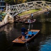 Image 1: Private Cambridge Day Trip from London with River Cam Punting