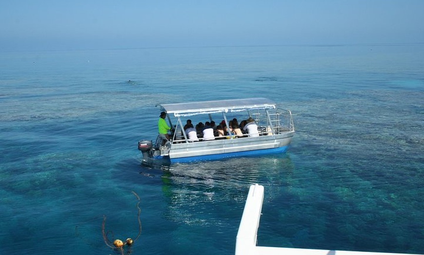 Image 4: Seastar Luxury Outer Great Barrier Reef Island and Reef Tour