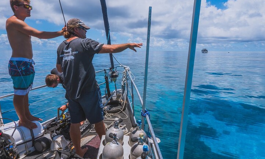 Image 11: Coral Sea Dreaming Overnight Dive, Snorkel and Sail