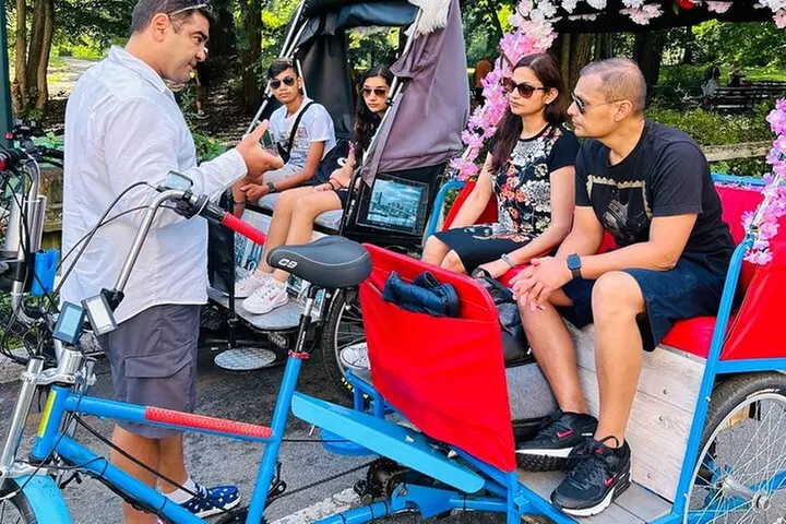 NYC Central Park guided Pedicab Tour - 1 hour - Primary Image