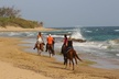 Horseback Riding through Secluded Beaches and Tropical Forests - Second Medium