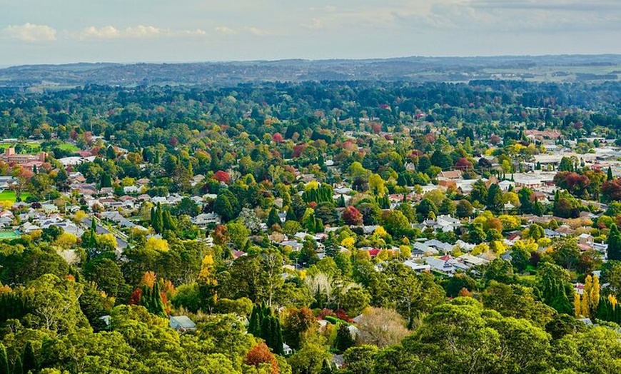 Image 2: Guided Don Bradman Cricket Tour From Sydney
