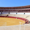 Image 3: Tour por Plaza de Toros y Museo Taurino de Málaga con Audioguía