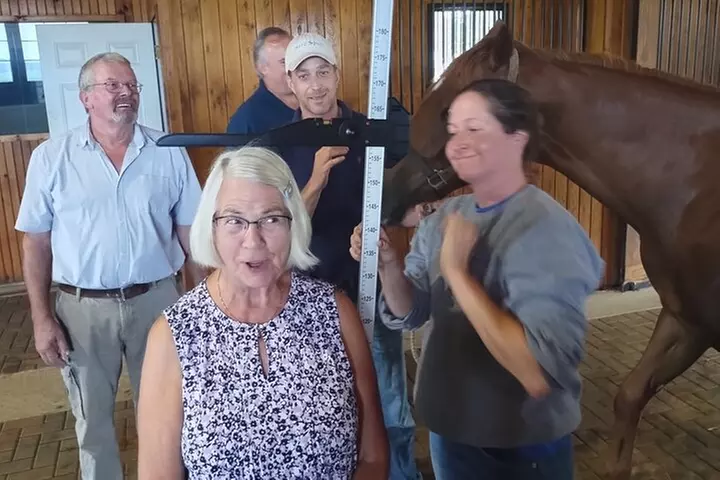 Half-Day Thoroughbred Horse Farm Tour in Kentucky