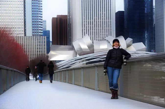 A Winter Walking Tour of Chicago - Primary Image