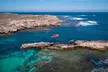 Adventure Rottnest Tour with Ferry & Adventure Cruise - Image 6
