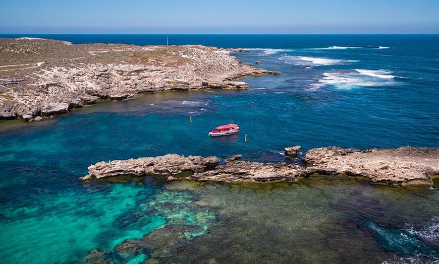 Image 6: Adventure Rottnest Tour with Ferry & Adventure Cruise