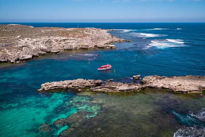 Adventure Rottnest Tour with Ferry & Adventure Cruise